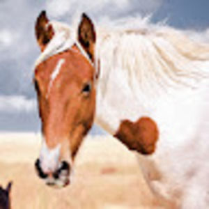 Meet your Posher, Clydene